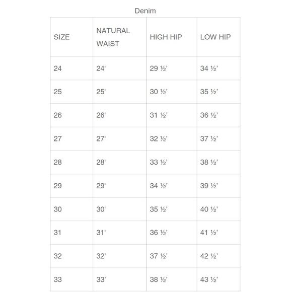 NWT Pistola Madi Embroidered Distressed Modern Slim Jeans Sz 27x27 Deep Sea Blue - Picture 13 of 13